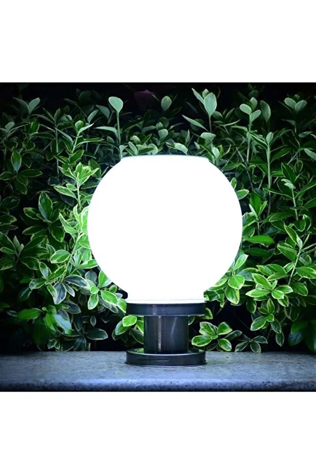 Forlife 30 Watt Solar Set/Baba Duvar Üstü Dekoratif Glop Armatür